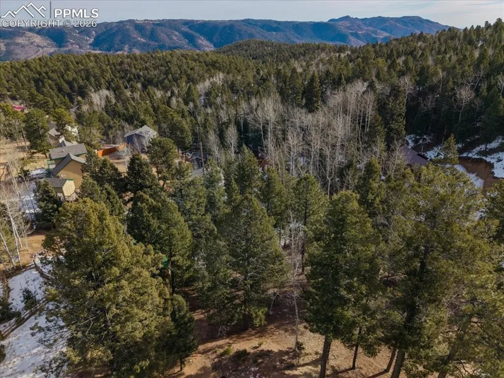 41 Tecumseh Lane Woodland Park, CO 80863