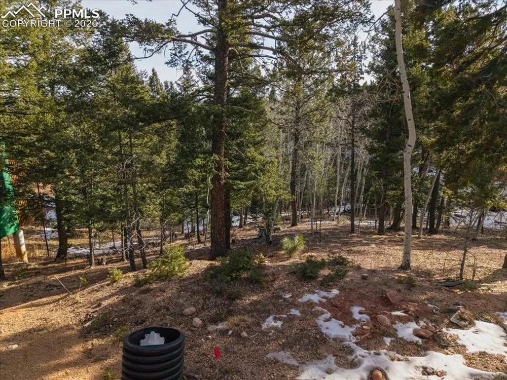 41 Tecumseh Lane Woodland Park, CO 80863
