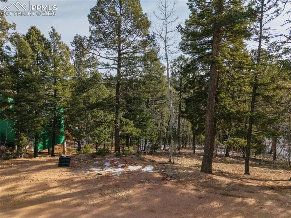 41 Tecumseh Lane Woodland Park, CO 80863