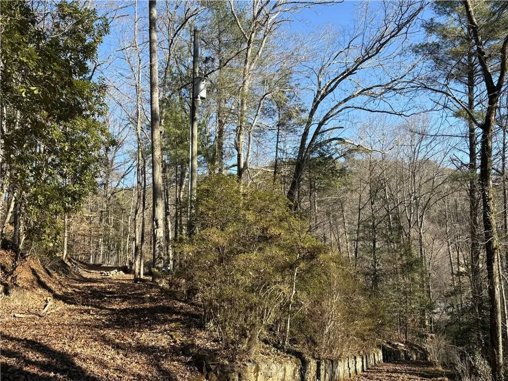 170 Old Gold Mine Trail Helen, GA 30545