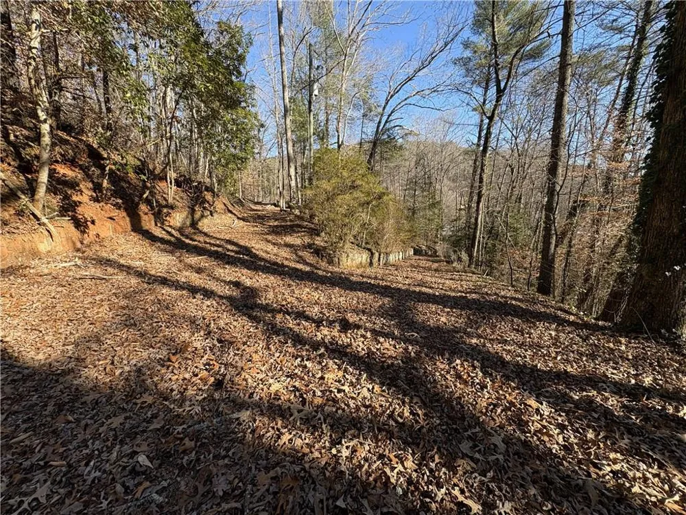 170 Old Gold Mine Trail Helen, GA 30545