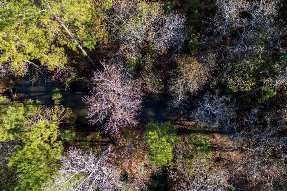 County Road 1135 Kennard, TX 75835