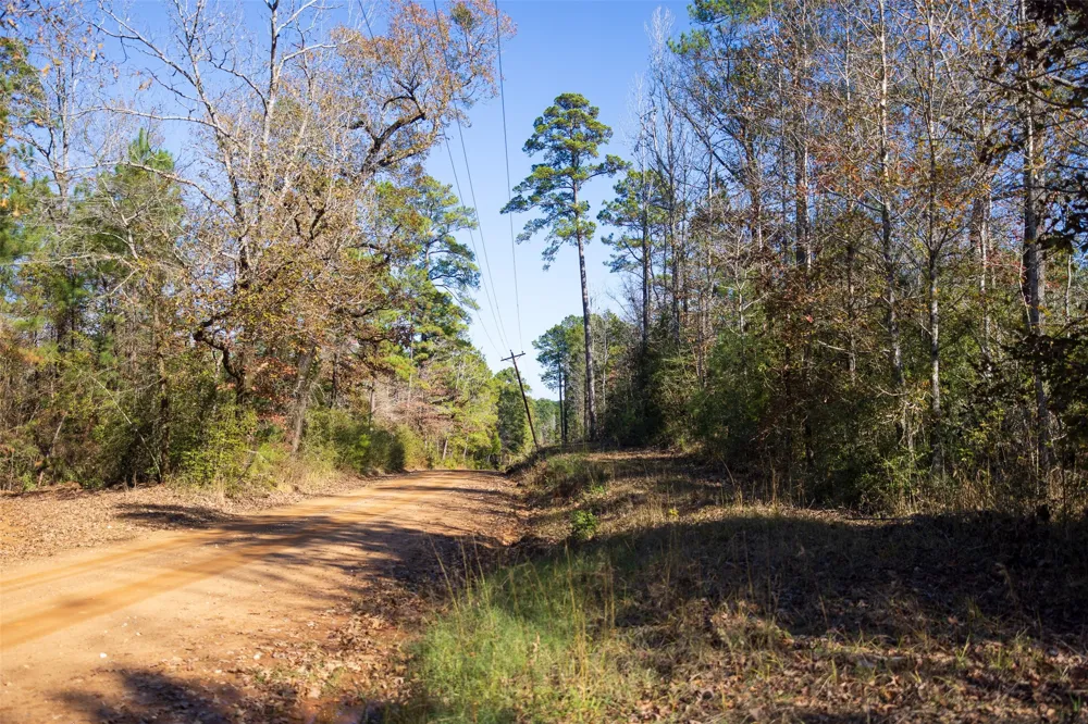 County Road 1135 Kennard, TX 75835