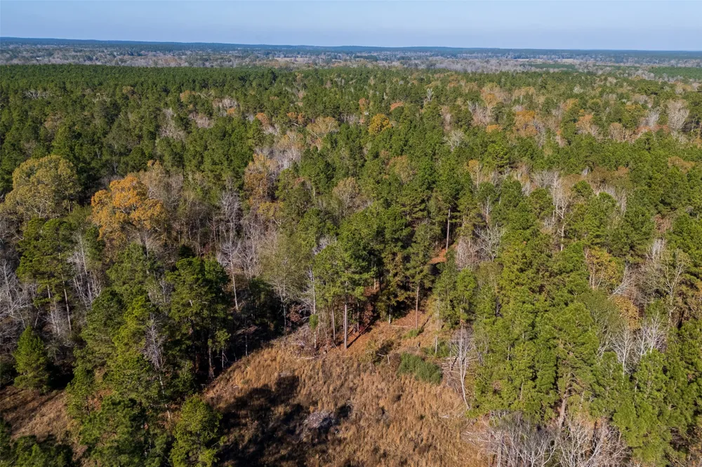 County Road 1135 Kennard, TX 75835