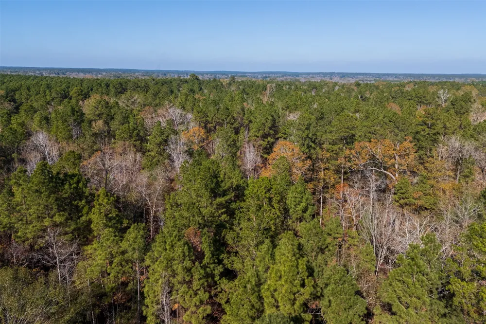 County Road 1135 Kennard, TX 75835