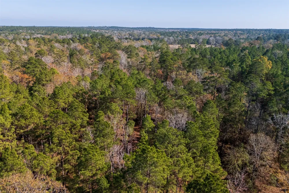 County Road 1135 Kennard, TX 75835