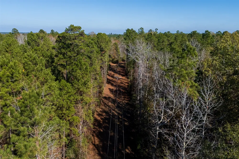 County Road 1135 Kennard, TX 75835