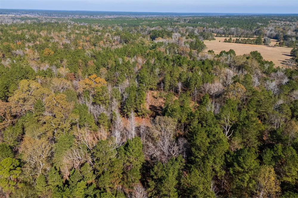 County Road 1135 Kennard, TX 75835