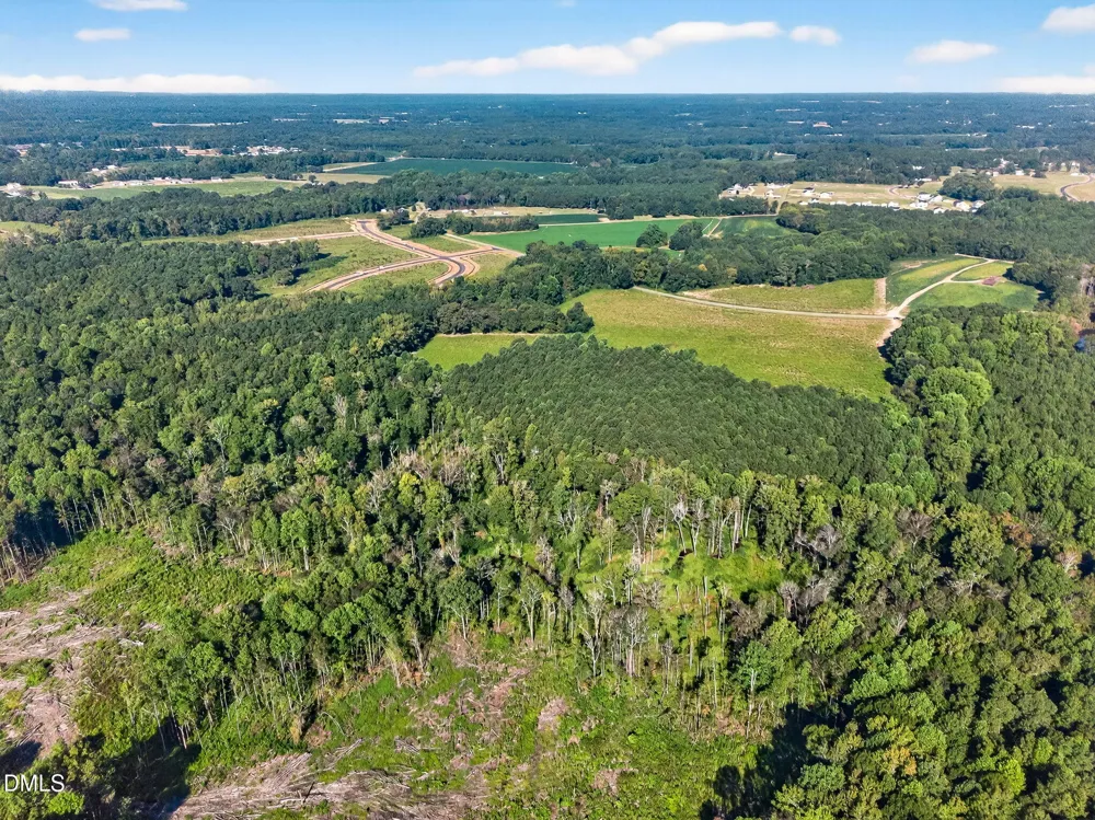 Lot 2 Mitchell Road Lillington, NC 27546