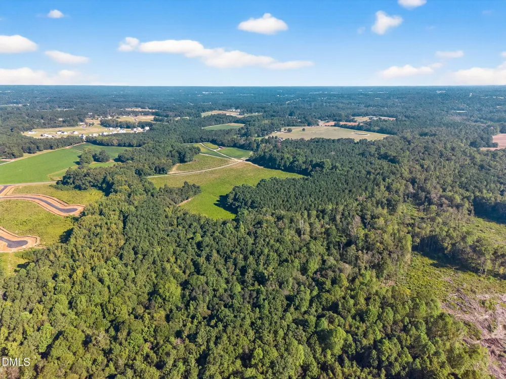 Lot 2 Mitchell Road Lillington, NC 27546