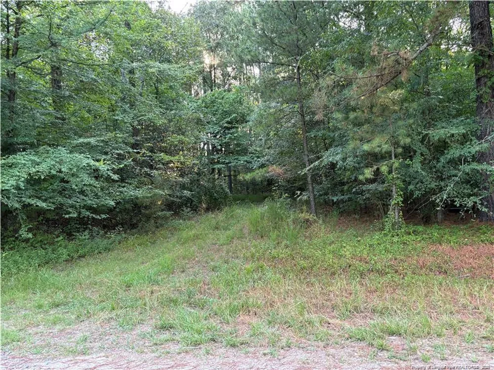 Christian Chapel Church Road Lillington, NC 27562