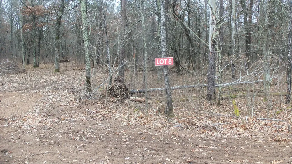 Lot 5 Cnute Creek Trl Grantsburg, WI 54840