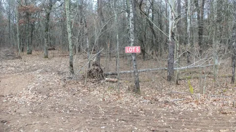 Lot 5 Cnute Creek Trl