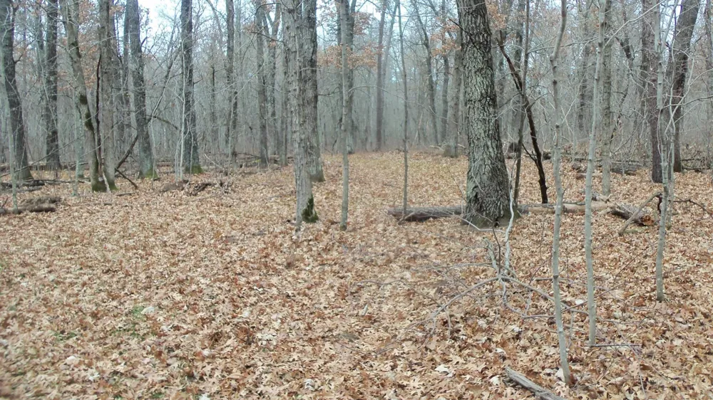 Lot 5 Cnute Creek Trl Grantsburg, WI 54840