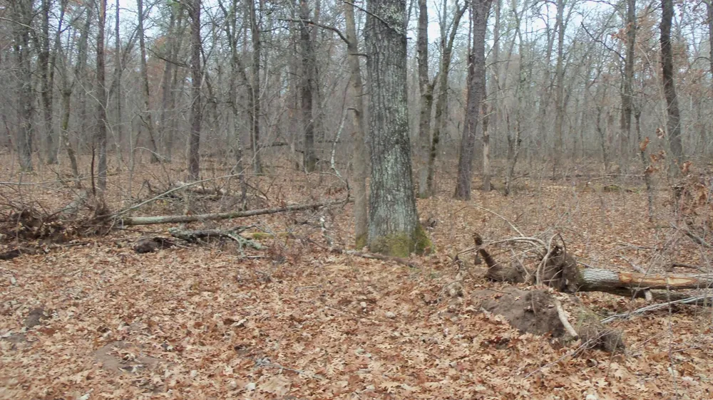 Lot 5 Cnute Creek Trl Grantsburg, WI 54840