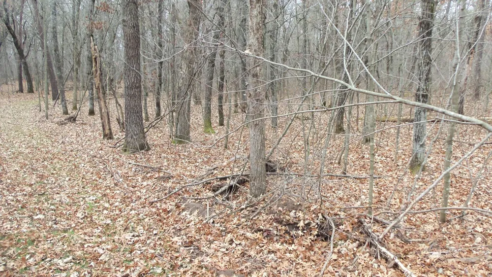Lot 5 Cnute Creek Trl Grantsburg, WI 54840