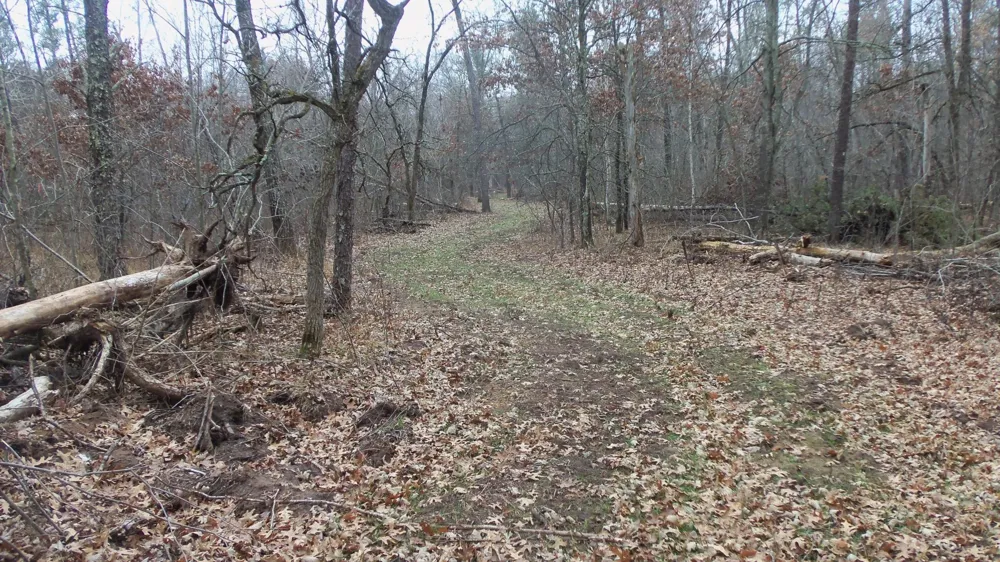 Lot 5 Cnute Creek Trl Grantsburg, WI 54840