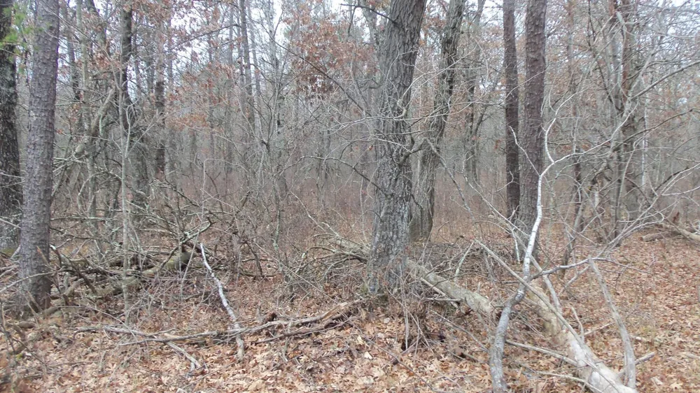 Lot 5 Cnute Creek Trl Grantsburg, WI 54840