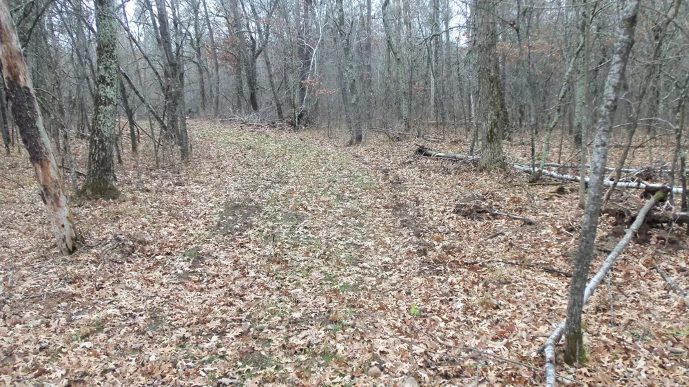 Lot 5 Cnute Creek Trl Grantsburg, WI 54840