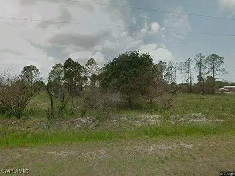 Horse Club Avenue