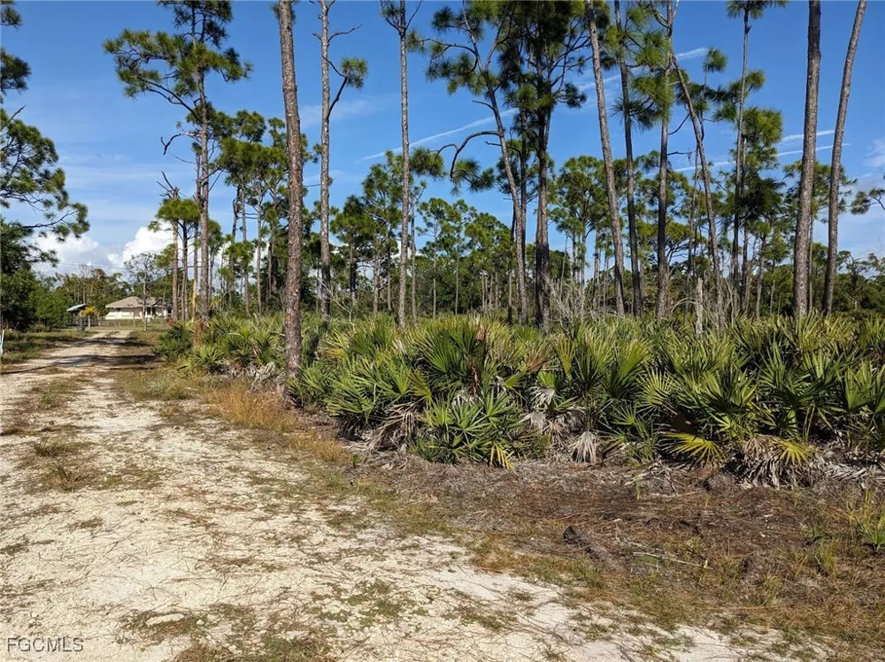 Sunshine Boulevard St James City, FL 33956