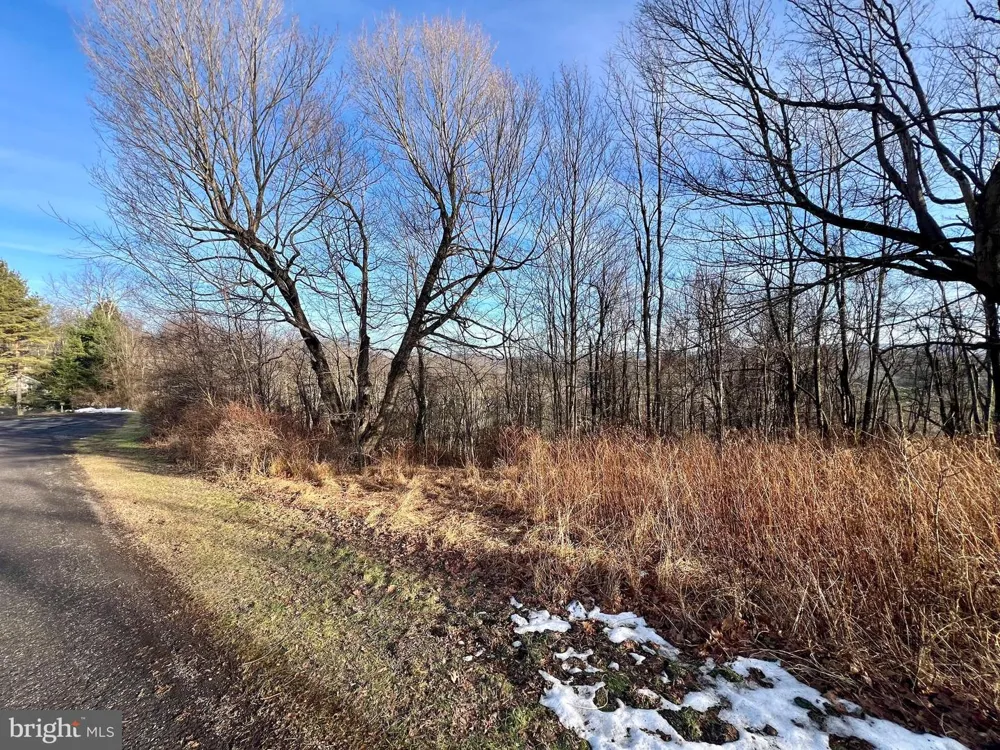 PARADISE RIDGE ROAD Oakland, MD 21550