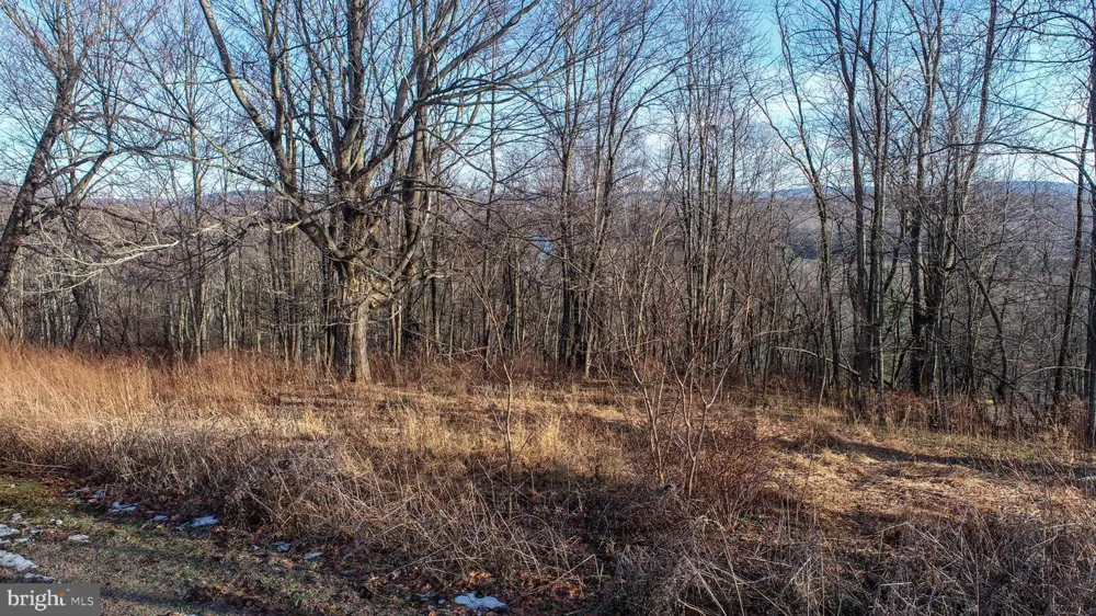 PARADISE RIDGE ROAD Oakland, MD 21550