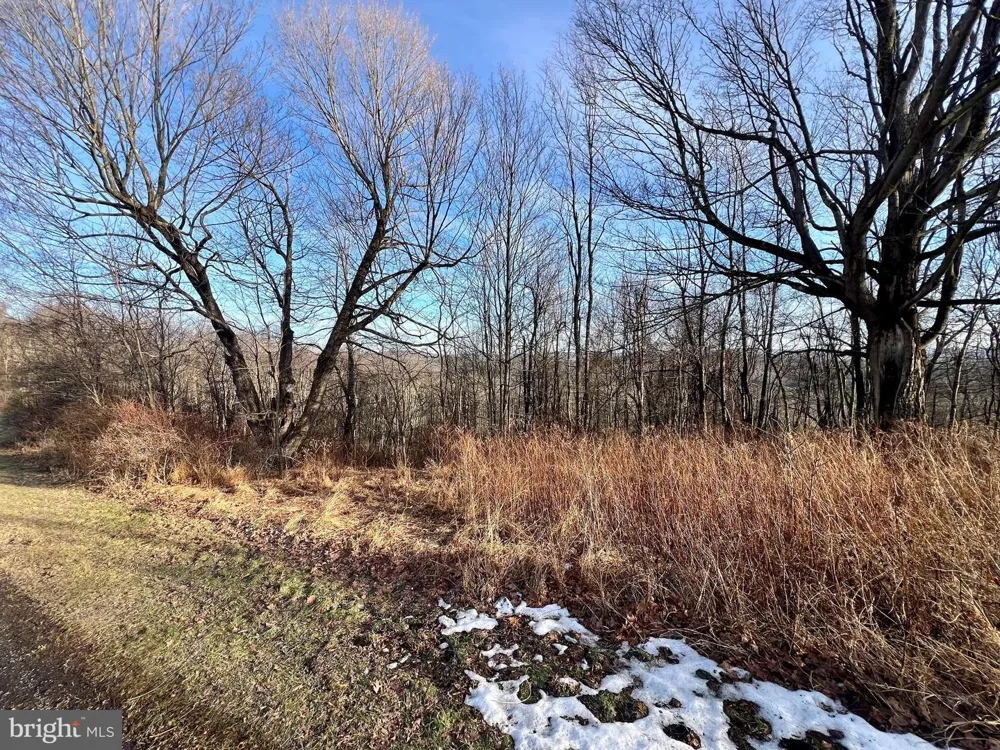 PARADISE RIDGE ROAD Oakland, MD 21550