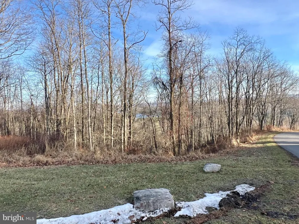 PARADISE RIDGE ROAD Oakland, MD 21550