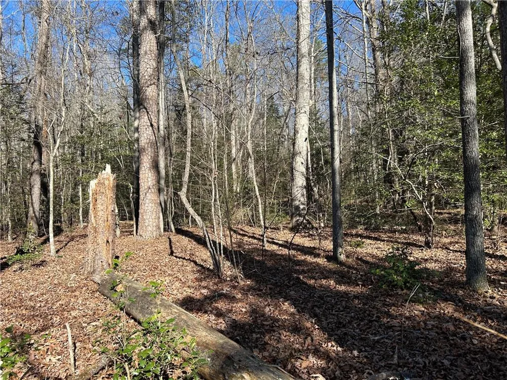 000 Twin River Orchard Road Demorest, GA 30535