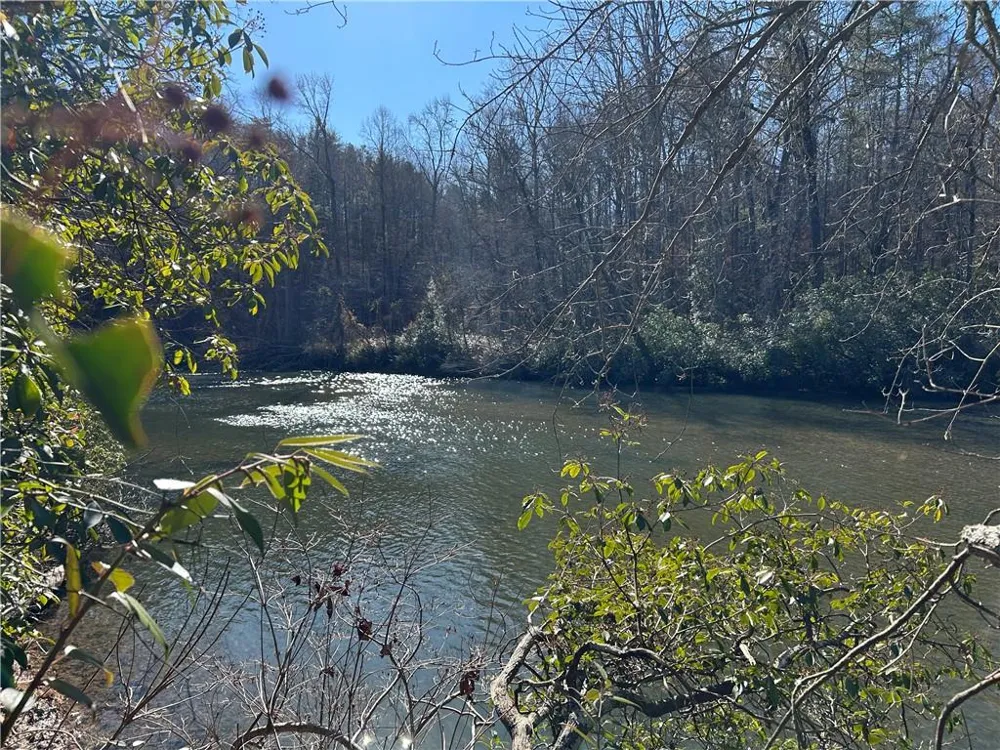 000 Twin River Orchard Road Demorest, GA 30535
