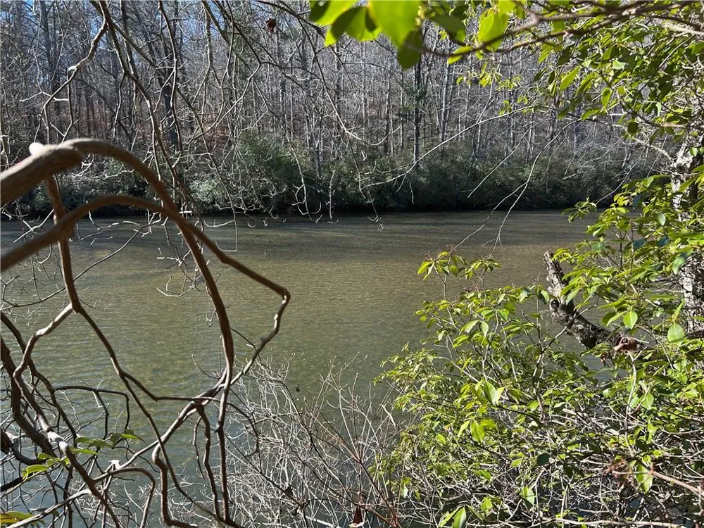 000 Twin River Orchard Road Demorest, GA 30535