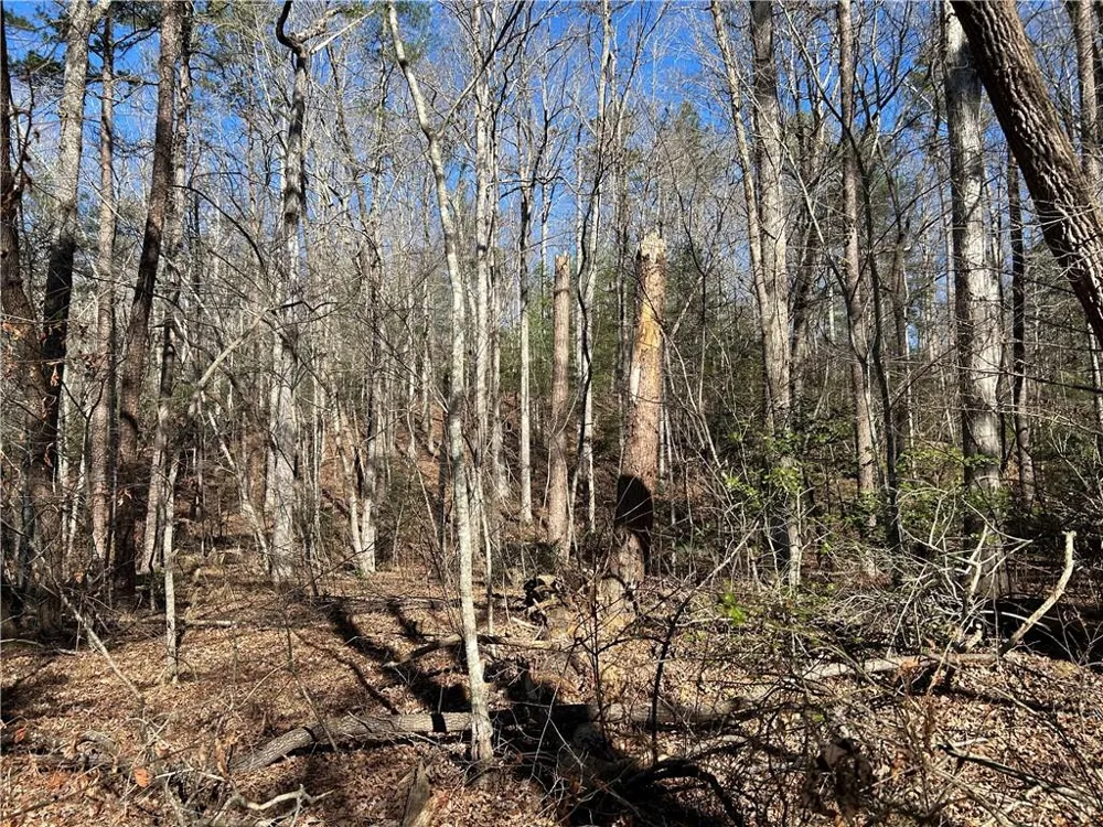 000 Twin River Orchard Road Demorest, GA 30535