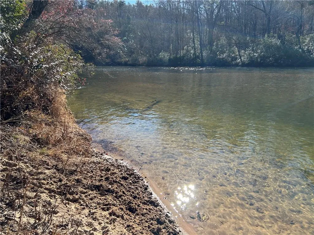000 Twin River Orchard Road Demorest, GA 30535