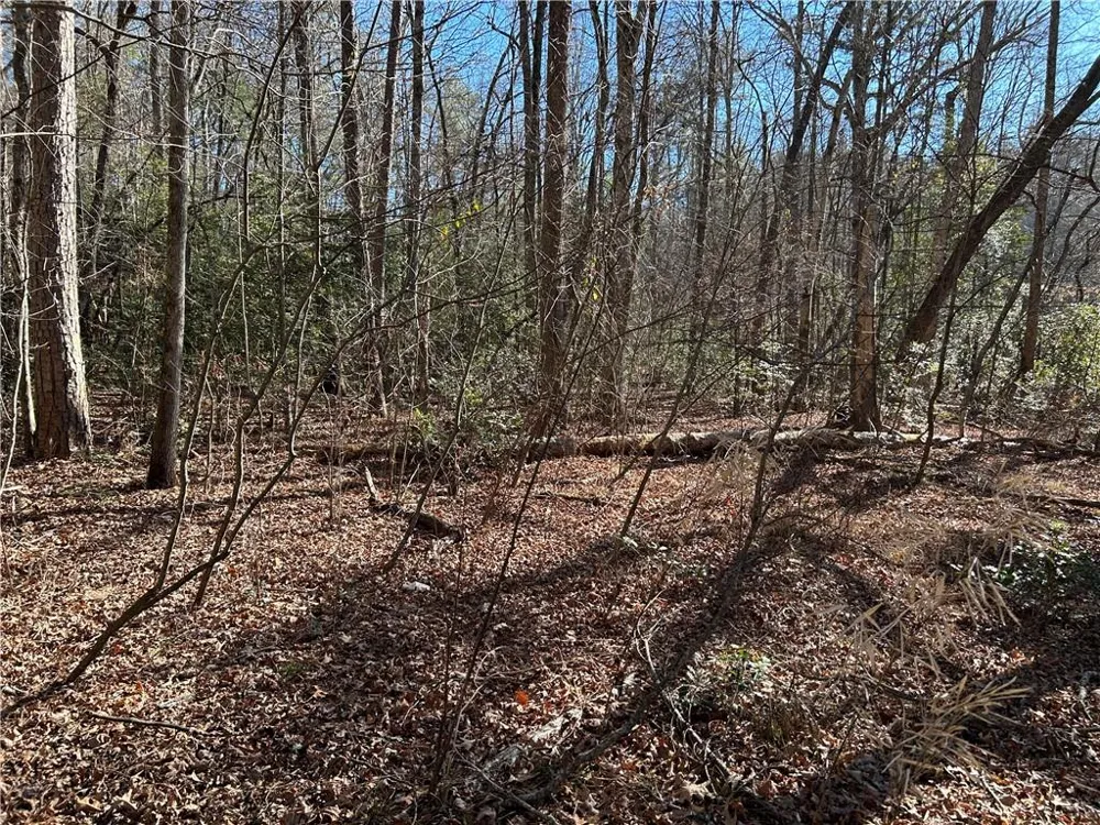 000 Twin River Orchard Road Demorest, GA 30535