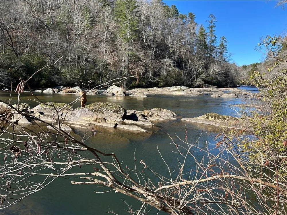 000 Twin River Orchard Road Demorest, GA 30535