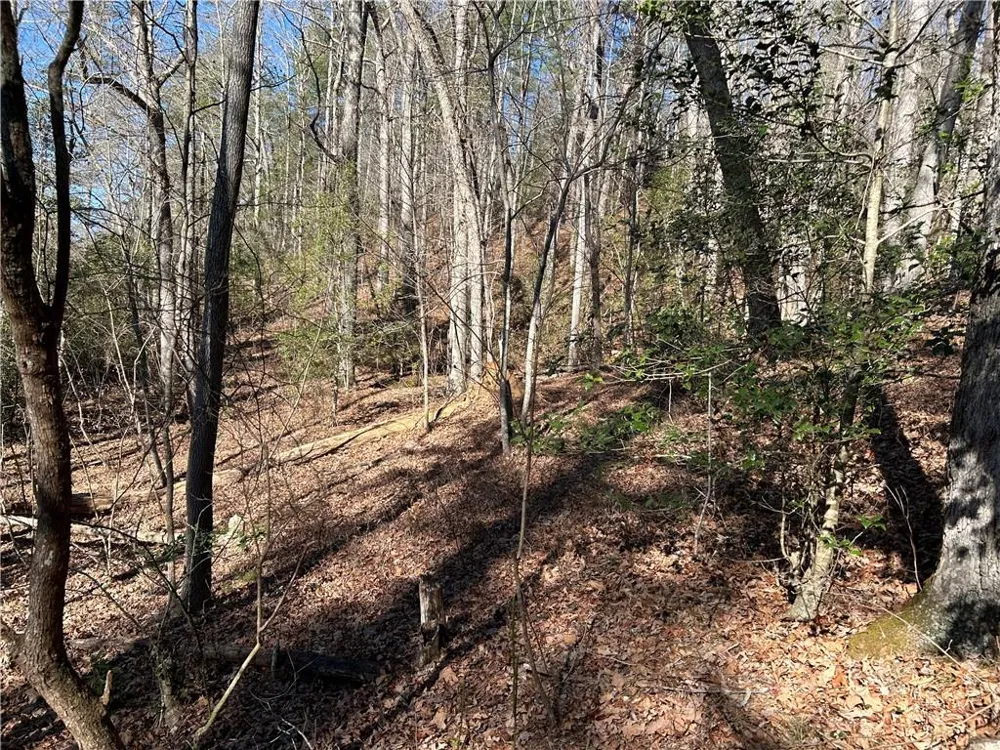 000 Twin River Orchard Road Demorest, GA 30535