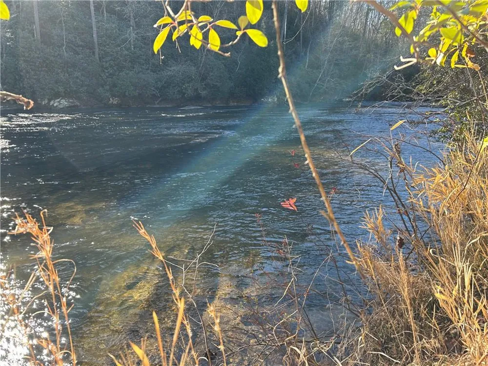 000 Twin River Orchard Road Demorest, GA 30535