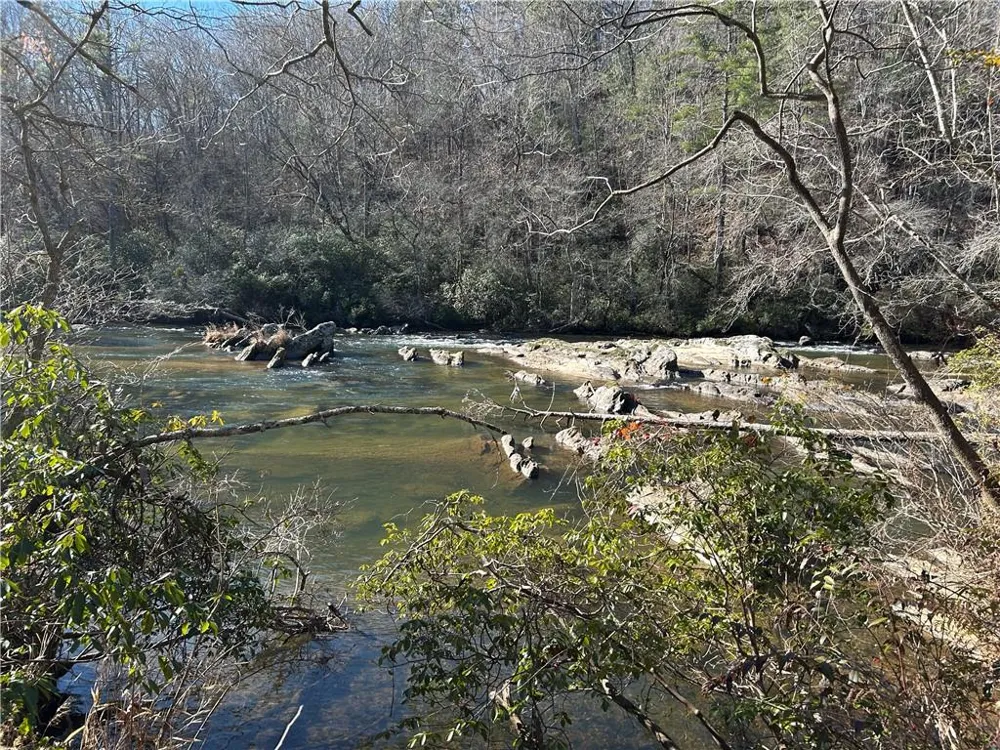 000 Twin River Orchard Road Demorest, GA 30535