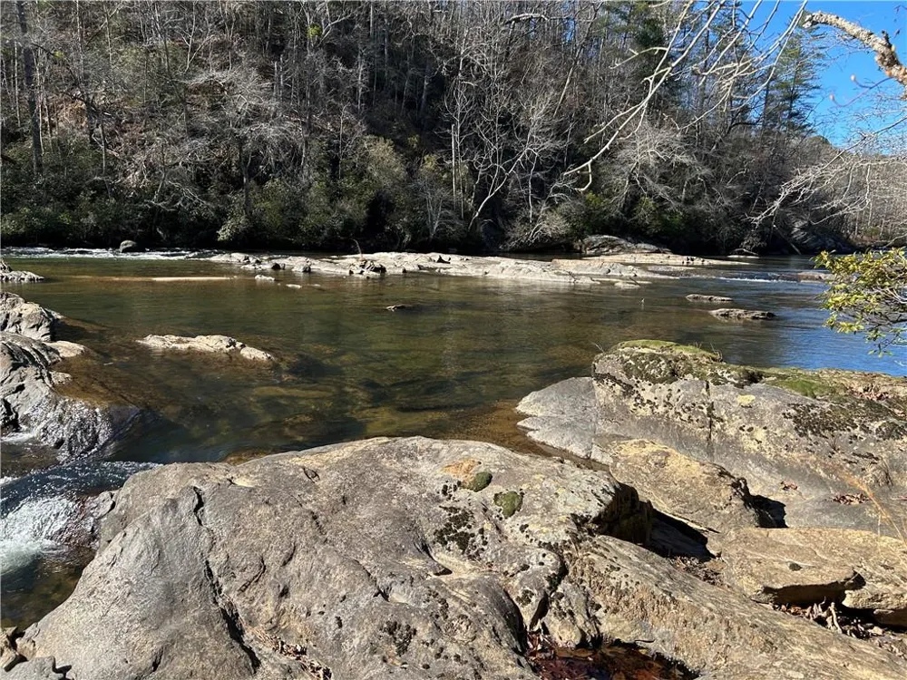 000 Twin River Orchard Road Demorest, GA 30535