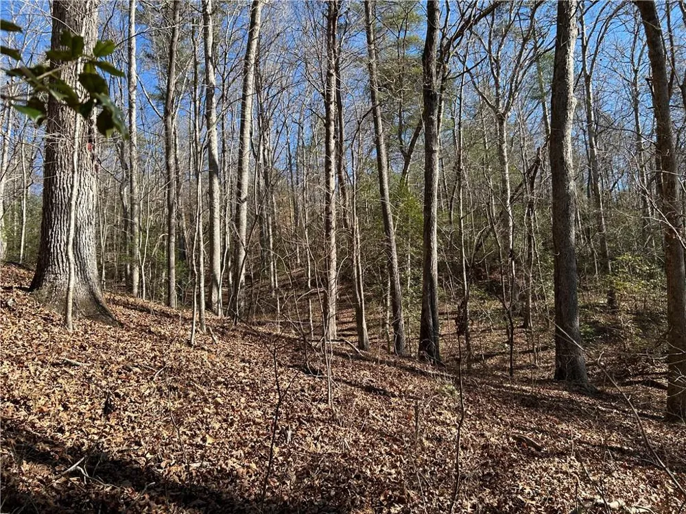 000 Twin River Orchard Road Demorest, GA 30535