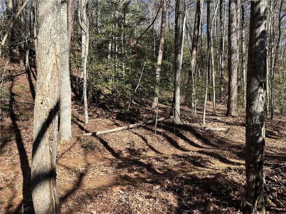 000 Twin River Orchard Road Demorest, GA 30535