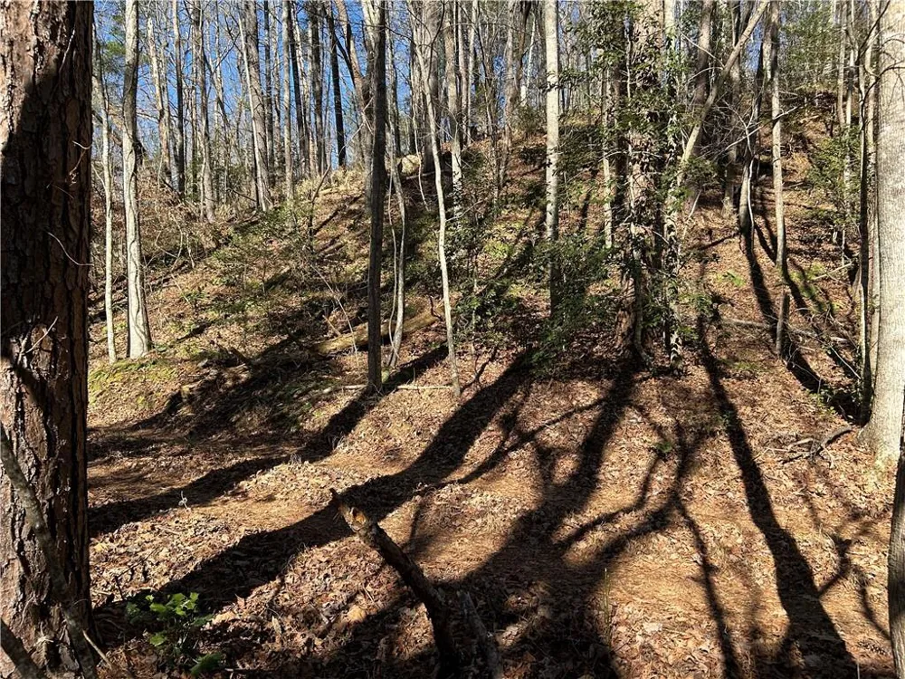 000 Twin River Orchard Road Demorest, GA 30535