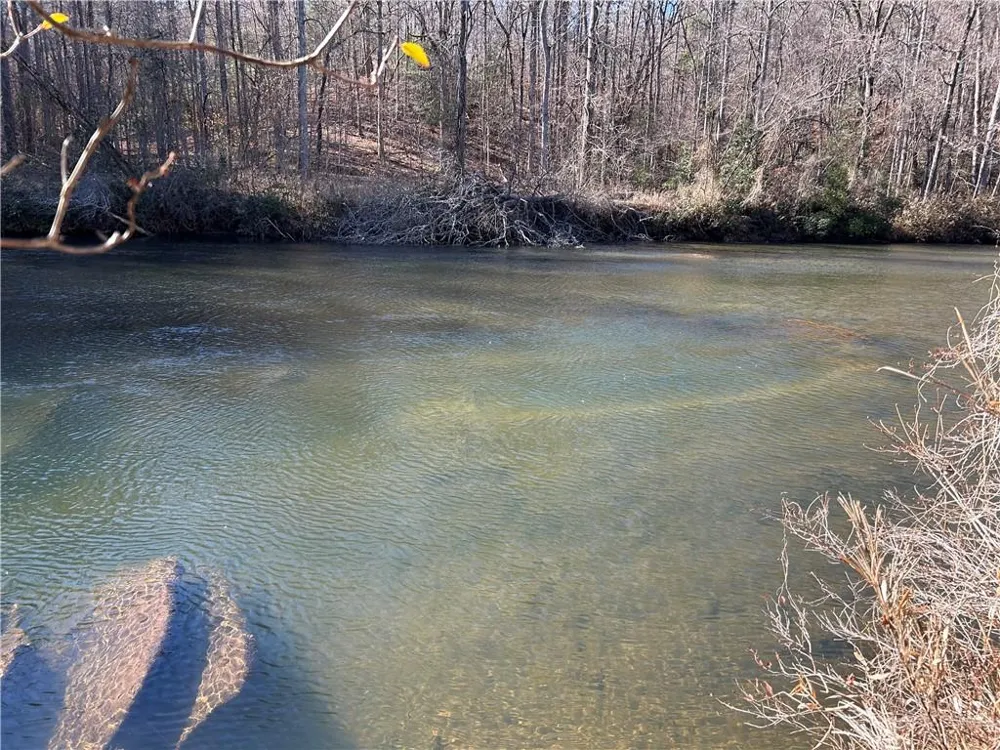 000 Twin River Orchard Road Demorest, GA 30535