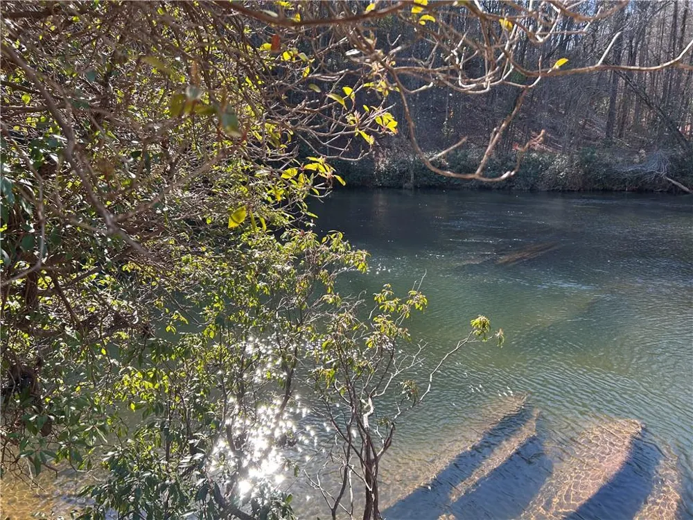 000 Twin River Orchard Road Demorest, GA 30535