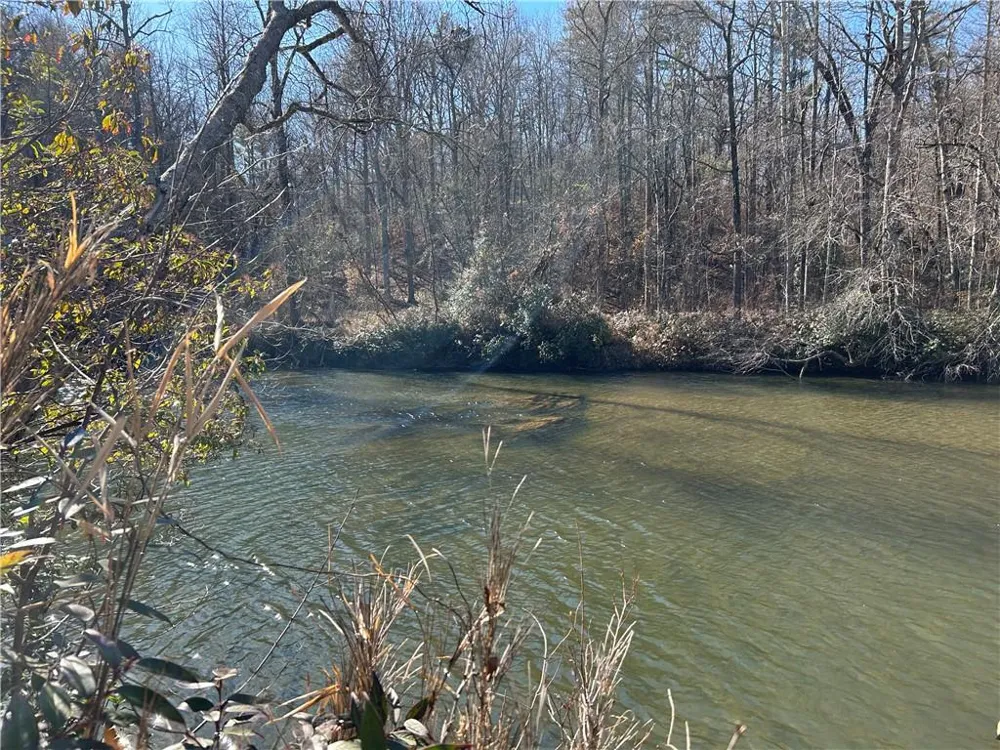 000 Twin River Orchard Road Demorest, GA 30535