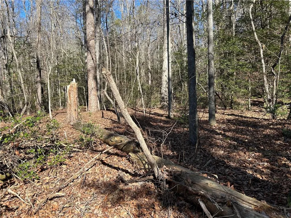 000 Twin River Orchard Road Demorest, GA 30535