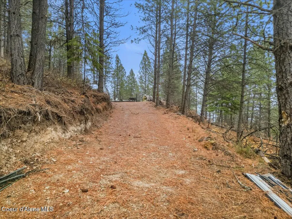 2972 Southfork Rdg Road Smelterville, ID 83868