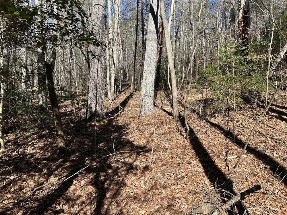 0000 Twin River Orchard Road Demorest, GA 30535
