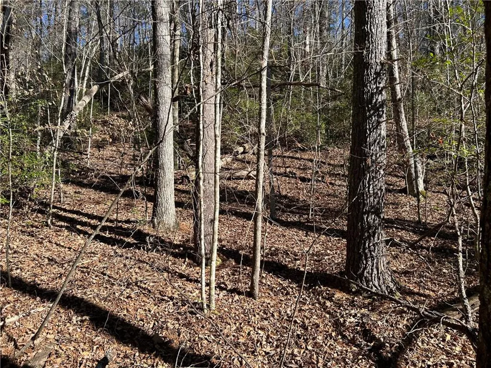 0000 Twin River Orchard Road Demorest, GA 30535